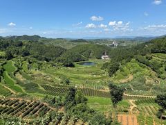 -乌石村