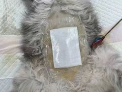 -仁仁嘉嘉宠物医院·骨外科中心·髋关节置换(北仑分院)