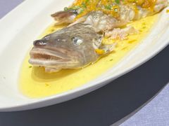 -怡情荟•海鲜青岛菜(五四广场旗舰店)
