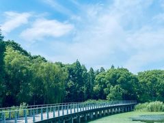 -蠡湖大桥公园