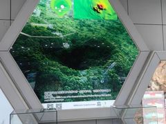 -海口火山口国家地质公园