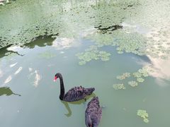 -东钱湖旅游度假区