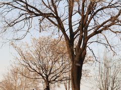 -汉长安城未央宫国家考古遗址公园