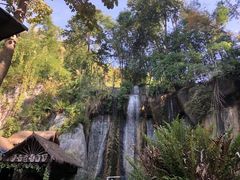 -西双版纳原始森林公园