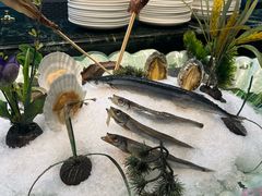 -碧中海汤泉汗蒸酒店