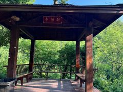 -青龙山国家森林公园