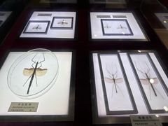 -上海昆虫博物馆