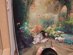 -佐罗家宠物馆·猫文化馆(紫霞路店)