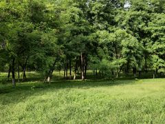 -东坝千亩湖公园