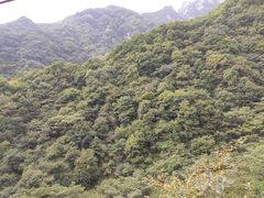 -王顺山国家森林公园