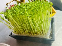 -故里和山·成都火锅(欢乐港湾店)