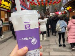 -一只酸奶牛(八一路店)