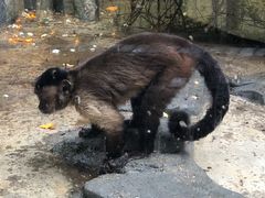 -泉州海丝野生动物世界