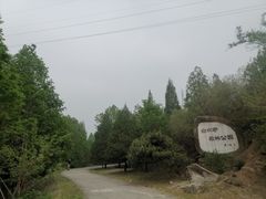 -白水寺森林公园