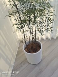 -HEYAN荷妍专业脱毛连锁机构