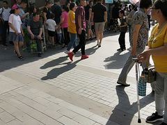 景点-文瀛公园