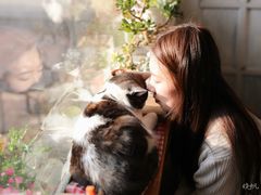 -海边的猫和咖啡馆