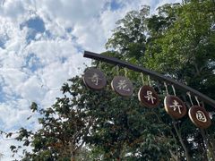 -中国科学院西双版纳热带植物园