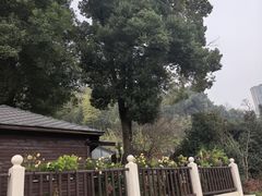 -耕渔小院·湖南鱼鲜(望城店)