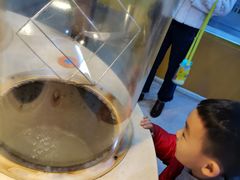 -陕西科学技术馆