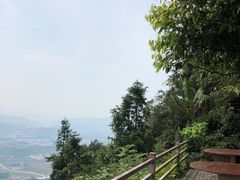 -铁山坪森林公园