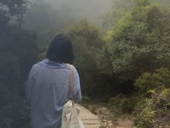 -大姆山草场