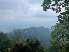 -青城山