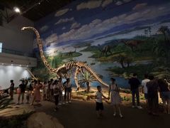 -自贡恐龙博物馆