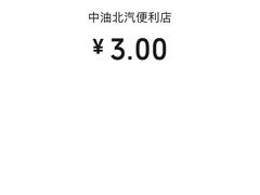 -中国石油北汽宣武门加油站