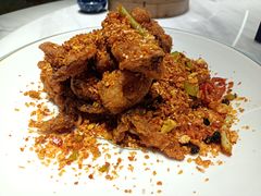 -点都德·毕德寮