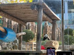 -大连森林动物园