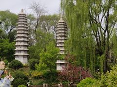 -沈阳植物园