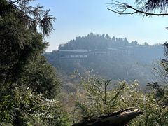 -南岳衡山风景名胜区