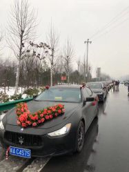 -蚂蚁婚车