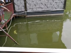 -老杨砂锅鱼庄