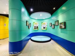 -上海昆虫博物馆