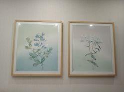 -颜蕾医美·黄金微针·水光·玻尿酸·超声炮·抗衰中心