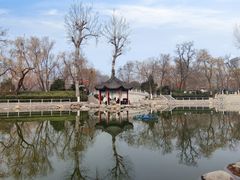 -莲湖公园