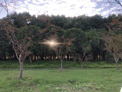 -嘉北郊野公园