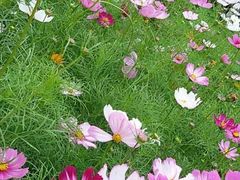 -艾溪湖湿地公园