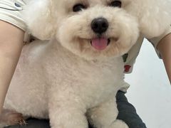 -帕帕拉兹宠物(亚洲旗舰店)