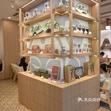 宝藏暖茶，秋冬减肥女孩必备！