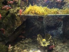 -太平洋海底世界