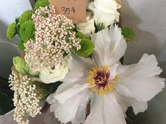 -小洲村