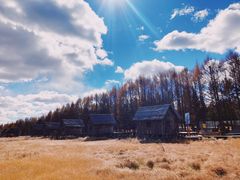 -塞罕坝国家级自然保护区