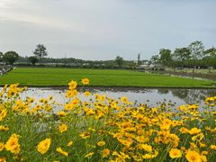 -嘉北郊野公园
