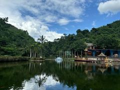 -西双版纳原始森林公园