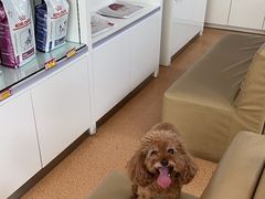 -宠颐生中康贝怡动物医院