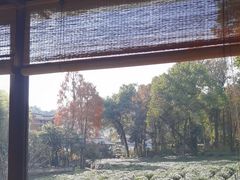 -野蔓果·山野菜(西湖景区·龙井茶田店)