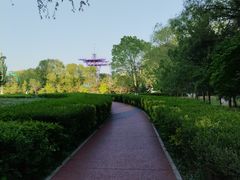 -青城公园